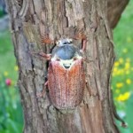 Spazio Natura