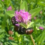 Spazio Natura