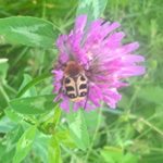 Spazio Natura